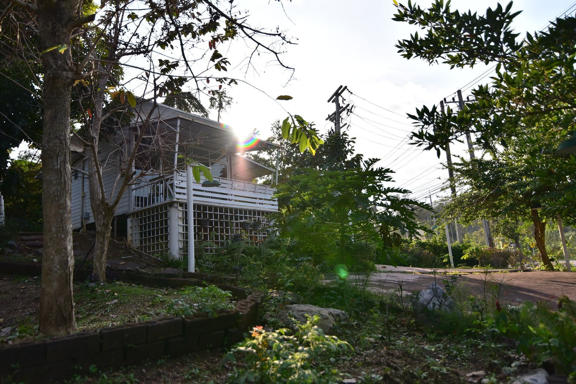 Bambusa Nakhonratchasima Exterior foto
